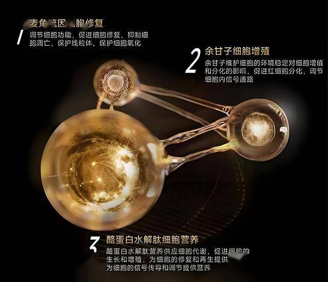 滁州市非物质文化遗产研究院揭牌成立_