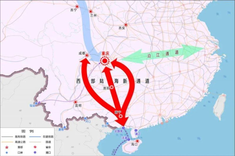 “碧根果之都”十年树木_